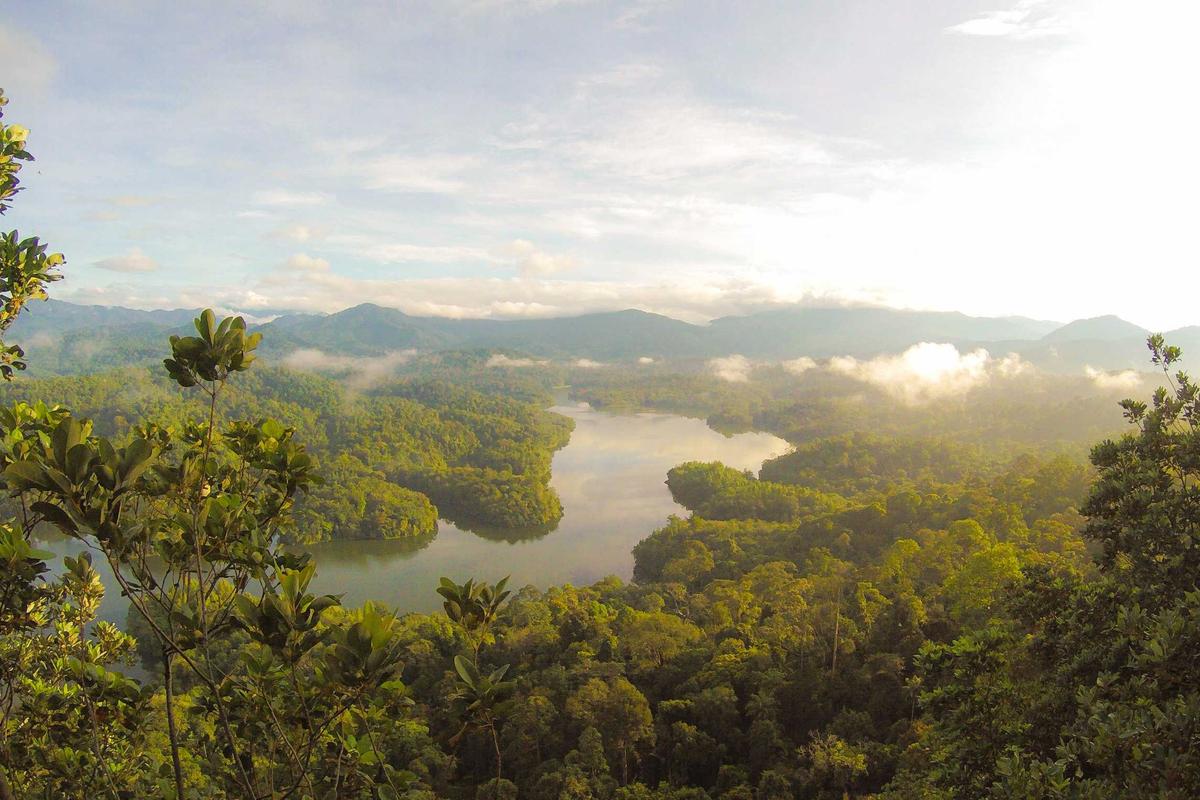 Hikers on a lush green mountain trail in Malaysia with tropical forest views